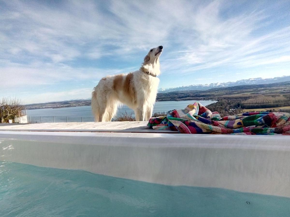Swiss Borzoi House Bed & Breakfast Vully-les-Lacs Eksteriør bilde