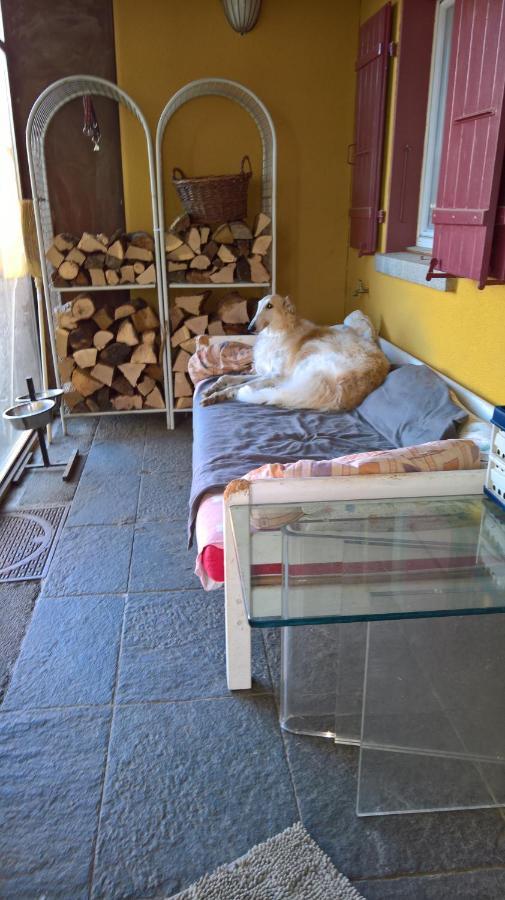 Swiss Borzoi House Bed & Breakfast Vully-les-Lacs Eksteriør bilde