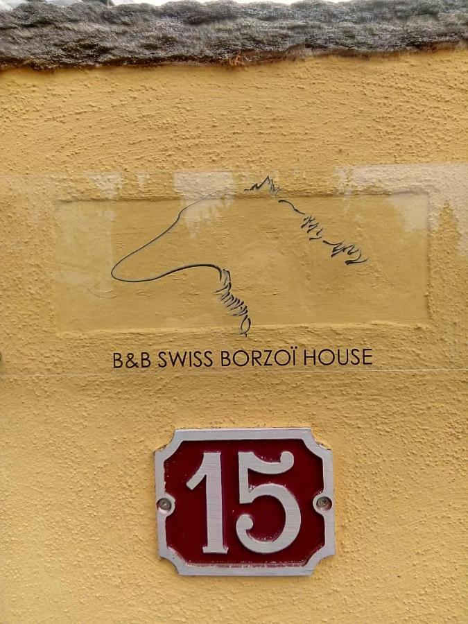 Swiss Borzoi House Bed & Breakfast Vully-les-Lacs Eksteriør bilde
