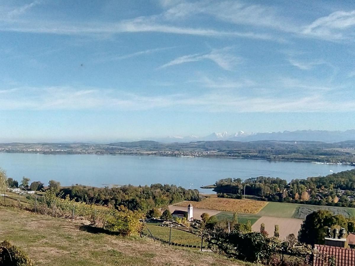 Swiss Borzoi House Bed & Breakfast Vully-les-Lacs Eksteriør bilde