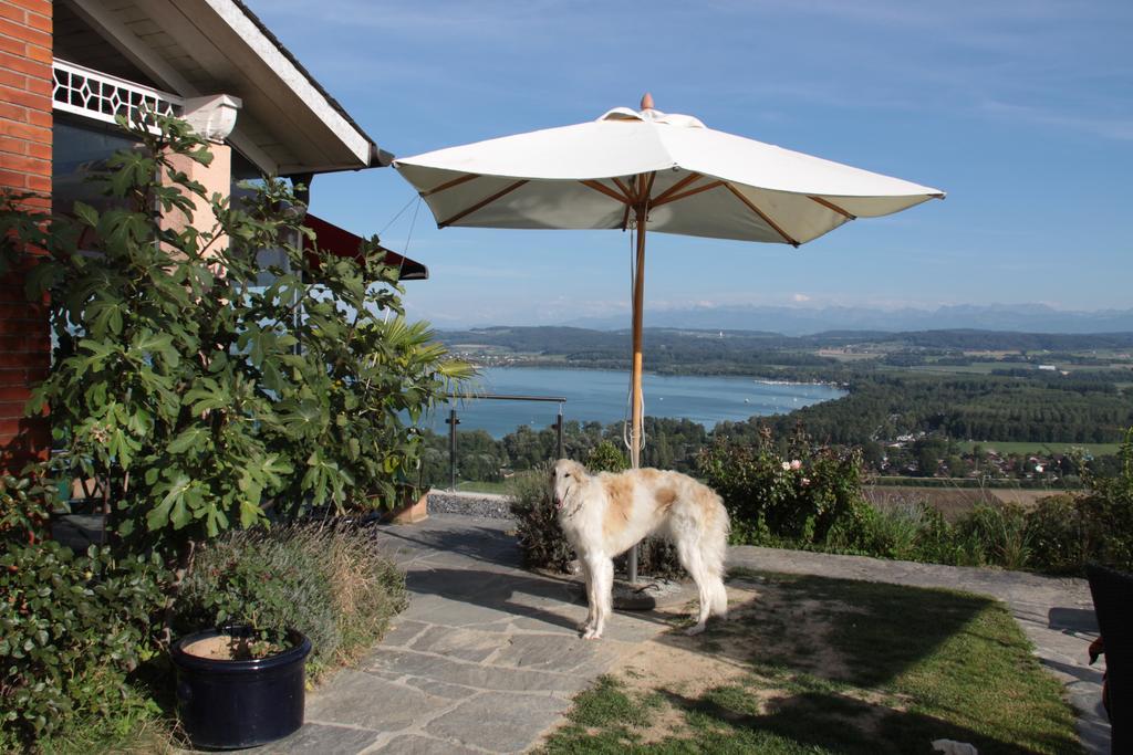 Swiss Borzoi House Bed & Breakfast Vully-les-Lacs Rom bilde