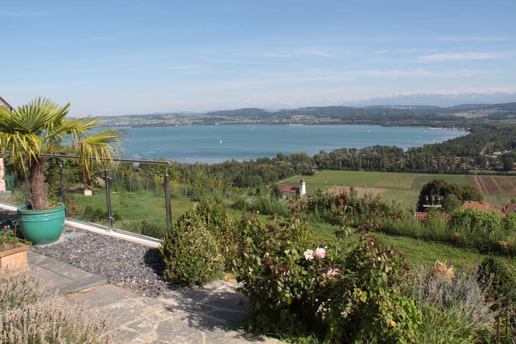 Swiss Borzoi House Bed & Breakfast Vully-les-Lacs Rom bilde