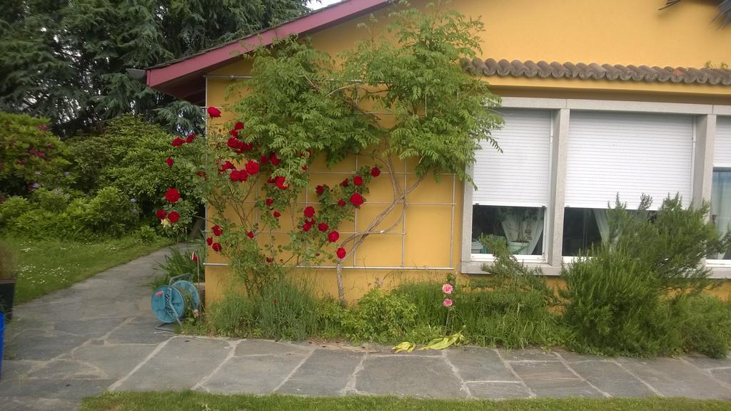 Swiss Borzoi House Bed & Breakfast Vully-les-Lacs Eksteriør bilde