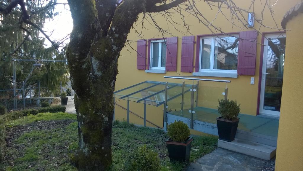 Swiss Borzoi House Bed & Breakfast Vully-les-Lacs Eksteriør bilde