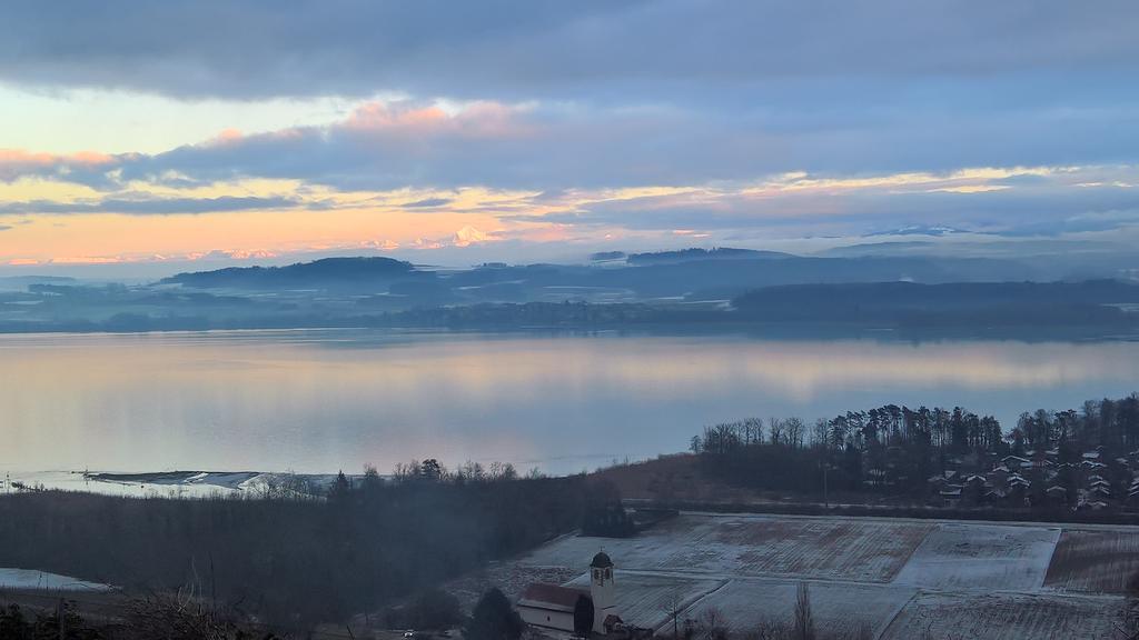 Swiss Borzoi House Bed & Breakfast Vully-les-Lacs Eksteriør bilde