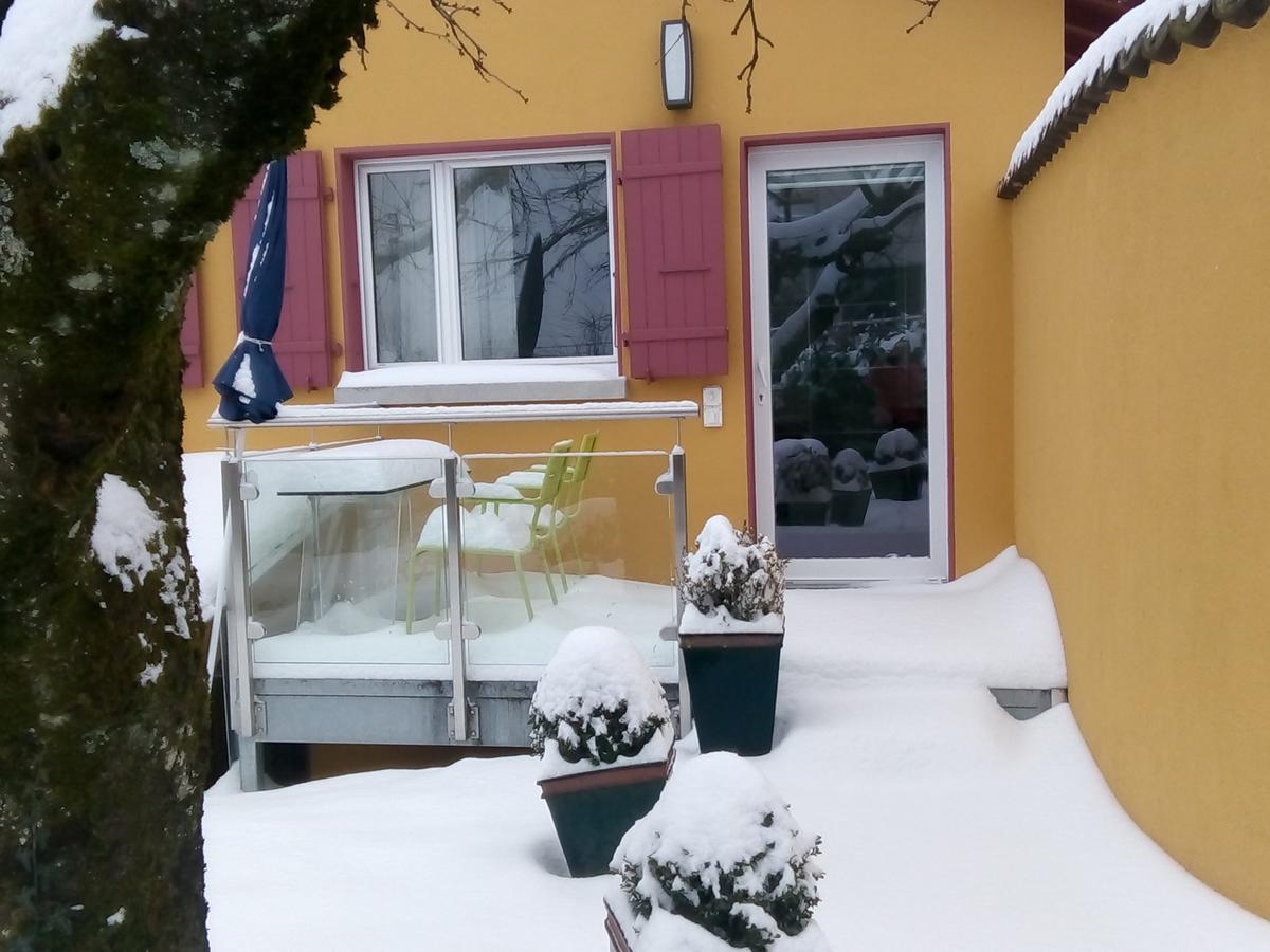 Swiss Borzoi House Bed & Breakfast Vully-les-Lacs Eksteriør bilde
