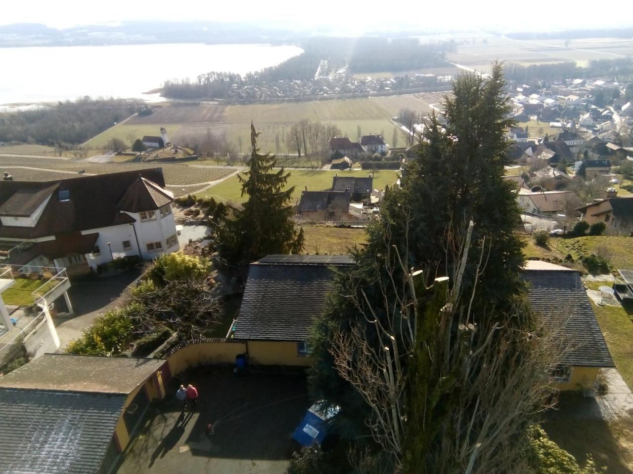 Swiss Borzoi House Bed & Breakfast Vully-les-Lacs Eksteriør bilde